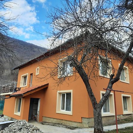 Guest House Lazar Raykov Ribarica Ngoại thất bức ảnh