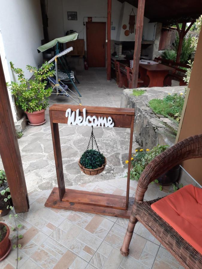Guest House Lazar Raykov Ribarica Ngoại thất bức ảnh