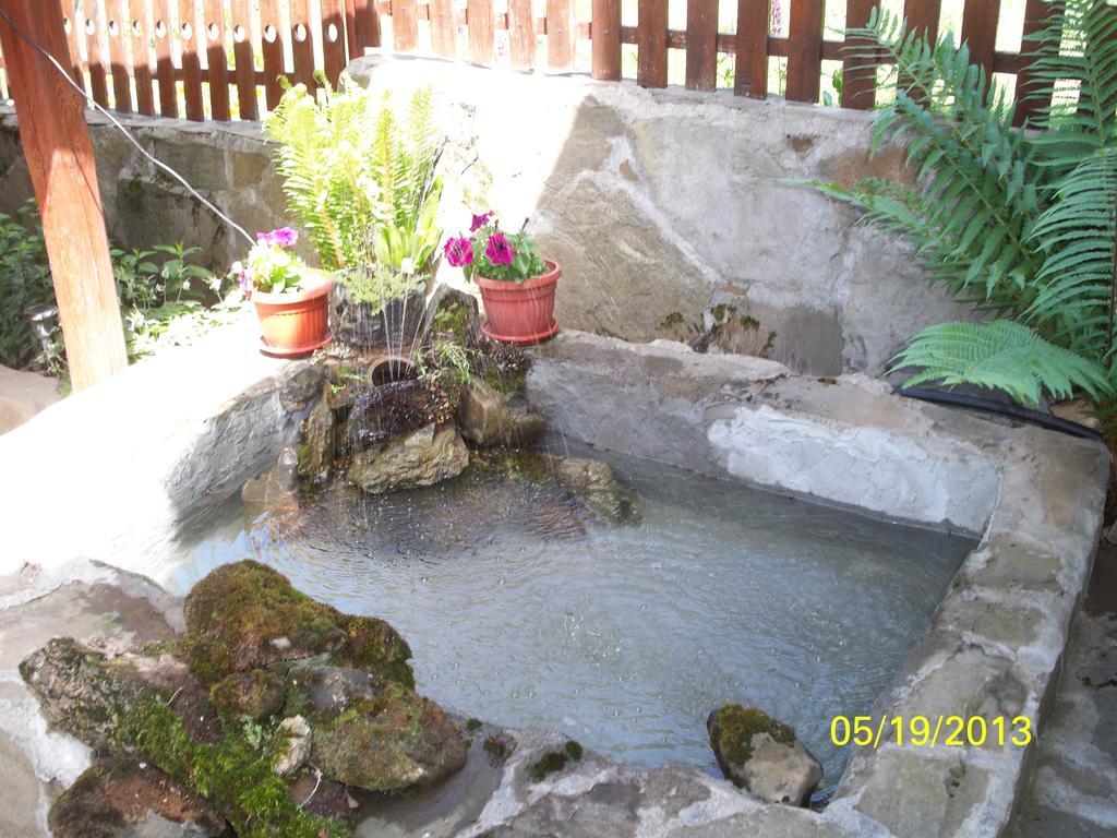 Guest House Lazar Raykov Ribarica Ngoại thất bức ảnh